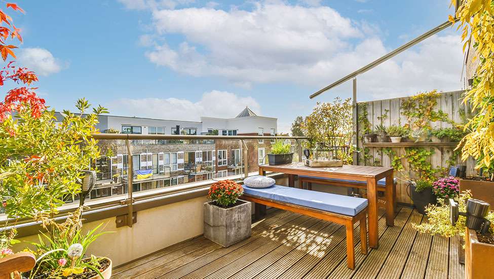 Roof Garden Landscaping Services in Wembley, Mill Hill, Edgware