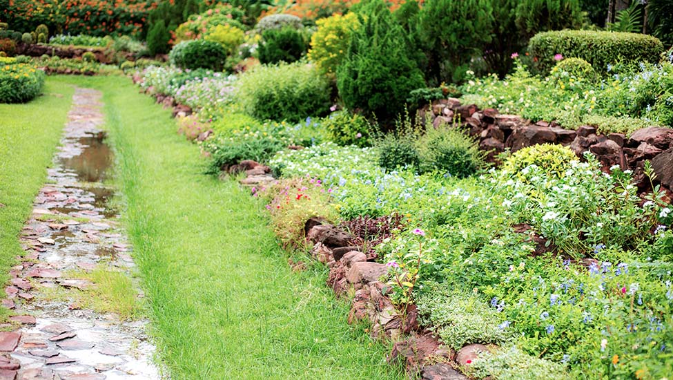 Soft and hard landscaping