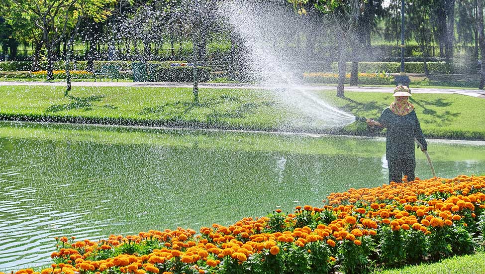 Water Garden Services in Wembley, Design and Maintenance Mill Hill, Edgware